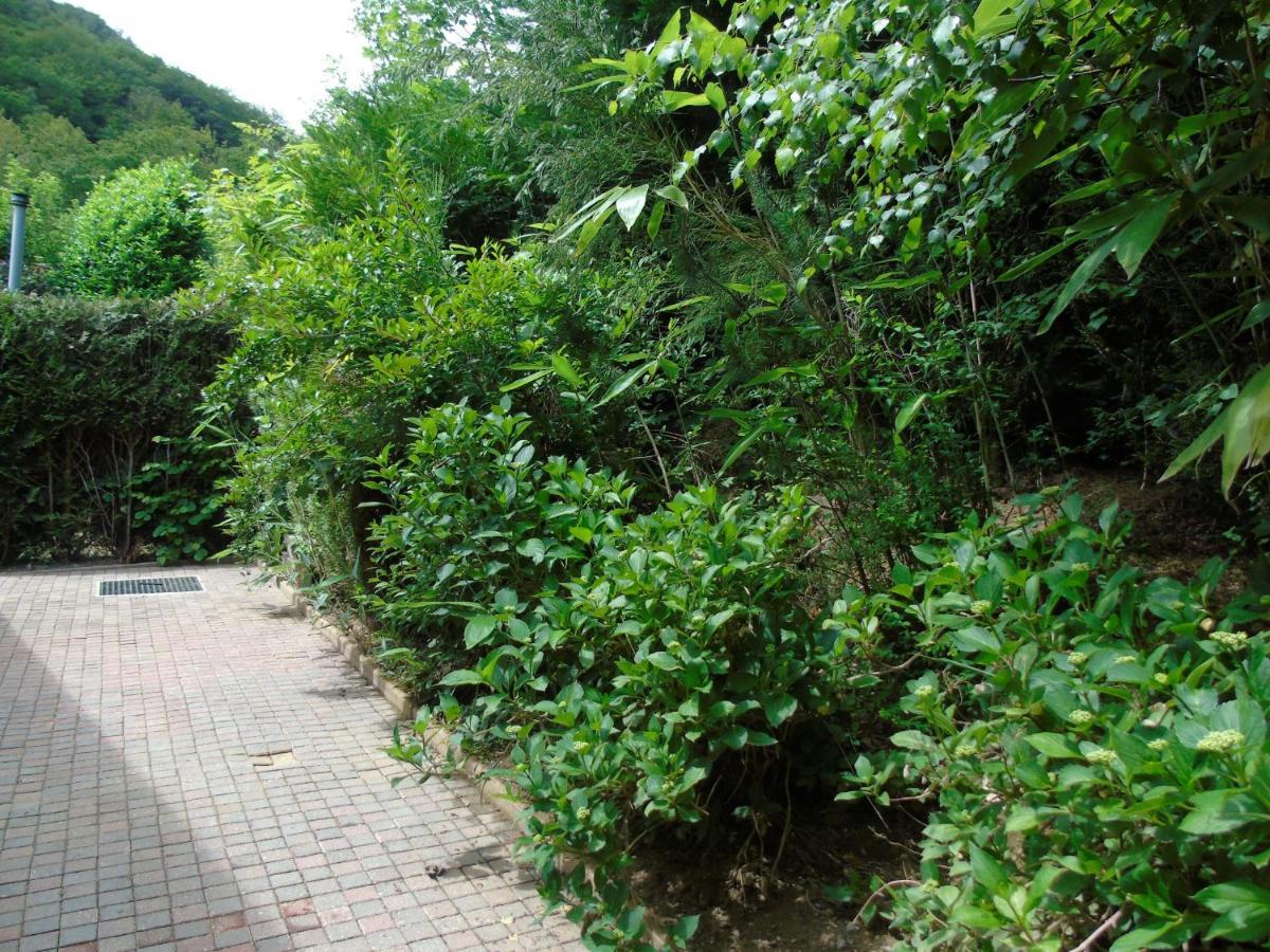 Maison L'Hirondelle Rustique A Tournavaux Ngoại thất bức ảnh