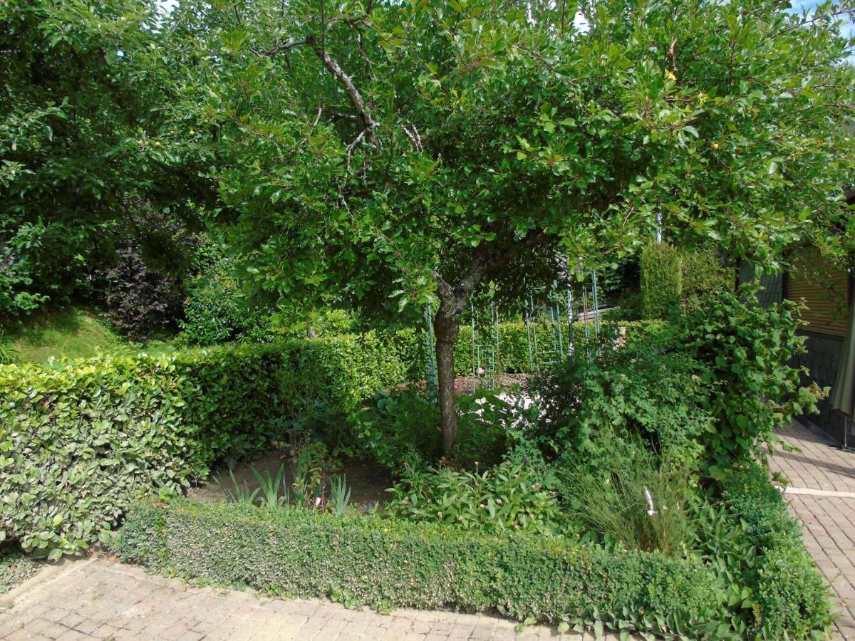 Maison L'Hirondelle Rustique A Tournavaux Ngoại thất bức ảnh